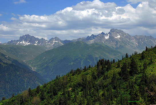 Karadeniz Dalar